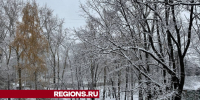 Балканский циклон «Каэтано» принесет в Дзержинский снег 23 ноября - Regions.Ru