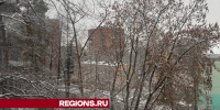 Настоящая зима начнется в Дзержинском с 25 ноября - Regions.Ru