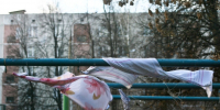 Желтый уровень погодной опасности объявлен в Дзержинском из-за сильного ветра - Regions.Ru