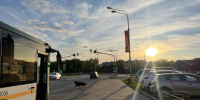 Заморозки и дожди в Подмосковье могут испортить атмосферу шашлыков в майские праздники - Regions.Ru