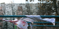 В Дзержинском из-за сильного ветра объявили штормовое предупреждение - Regions.Ru